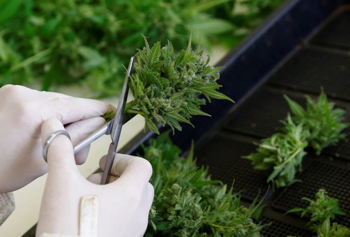 Compass Biotechnologies, Inc.(OTCMKTS: COBI) Acquired by Cannabis Investment Firm