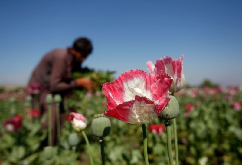 India seizes $2.7 billion Afghan heroin haul amid Kabul takeover chaos
