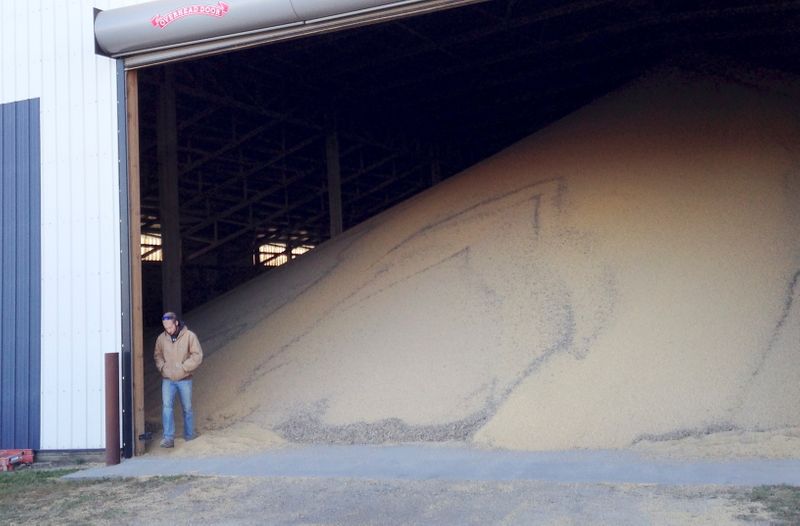 Minnesota grain handler targeted in ransomware attack