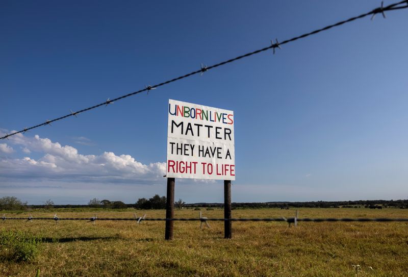 Texas abortion clinics struggle to survive under restrictive law