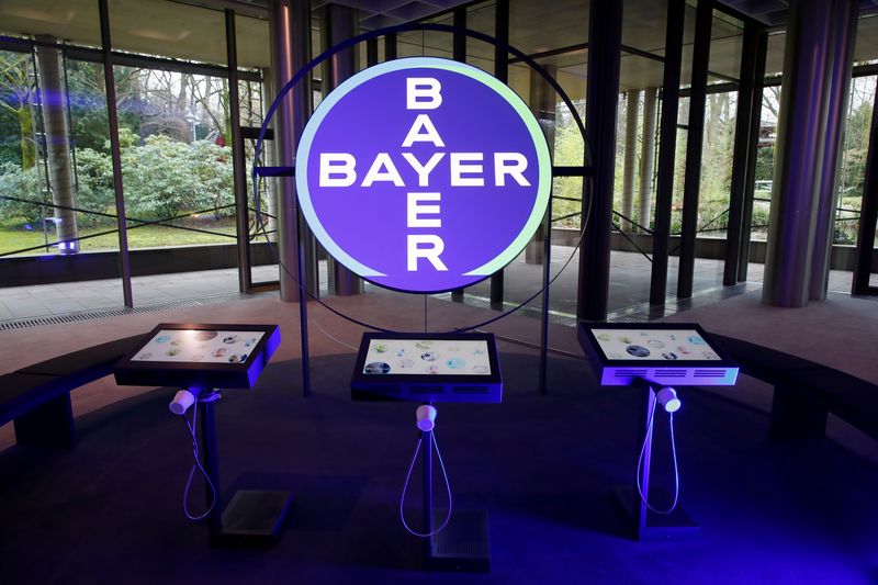 Bayer sees no guidance hit from hurricane, planting trends