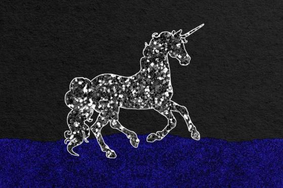 Blockchain Unicorn Elrond To Acquire Capital Financial Services S.A, Owner of First e-Money License in Romania, Pending Approval Of Romania’s National Bank
