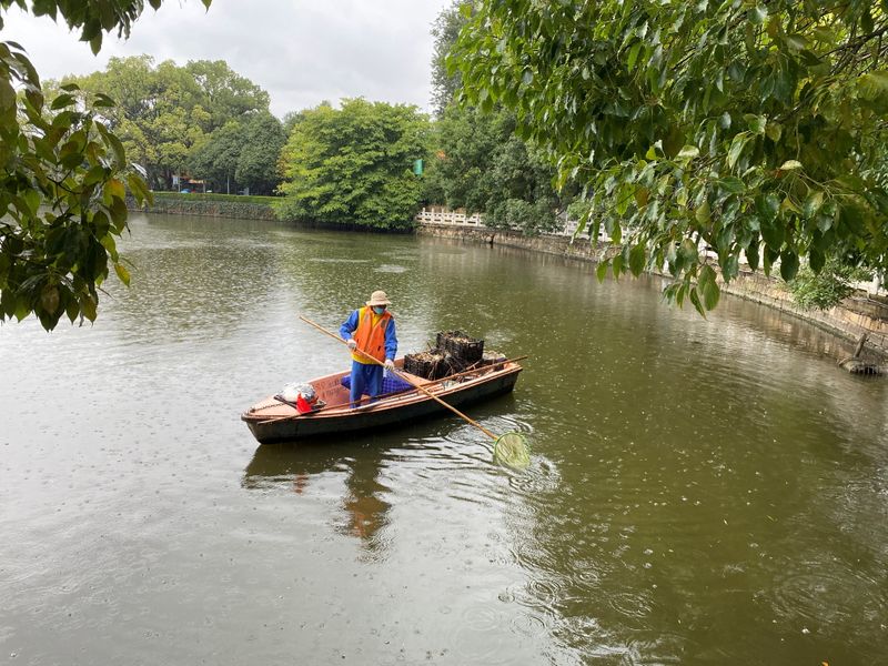 China's domestic biodiversity pledges overshadowed by overseas footprint