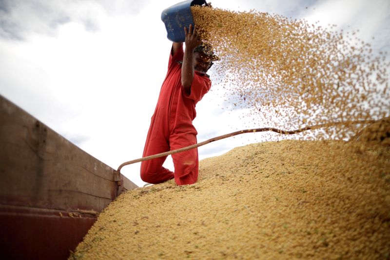 Corteva faces slow start as it takes aim at Bayer's Brazil soy reign