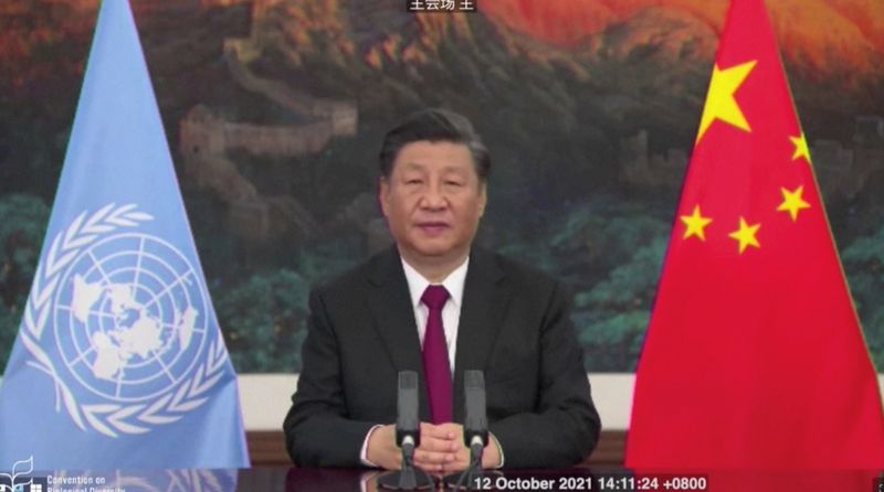 Countries call for urgent action on biodiversity with 'Kunming Declaration'