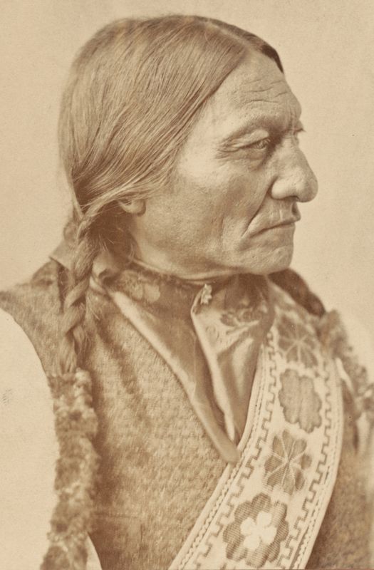 DNA from Sitting Bull's hair confirms living great-grandson's ancestry