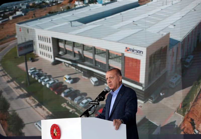 Erdogan's critics say demand for expulsions is distraction from economy woes