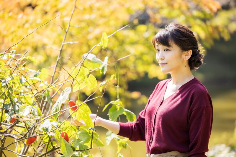 Japan's Princess Mako celebrates 30th birthday ahead of marriage