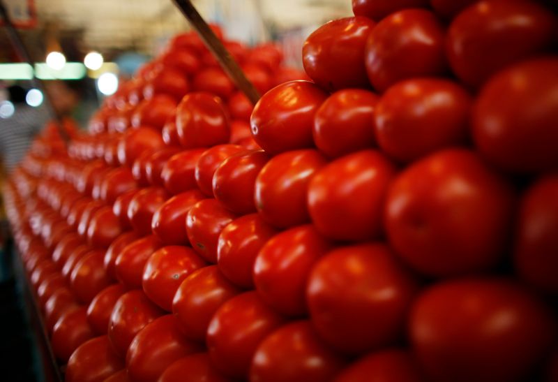 Mexico probing allegations of forced labor at tomato export firms
