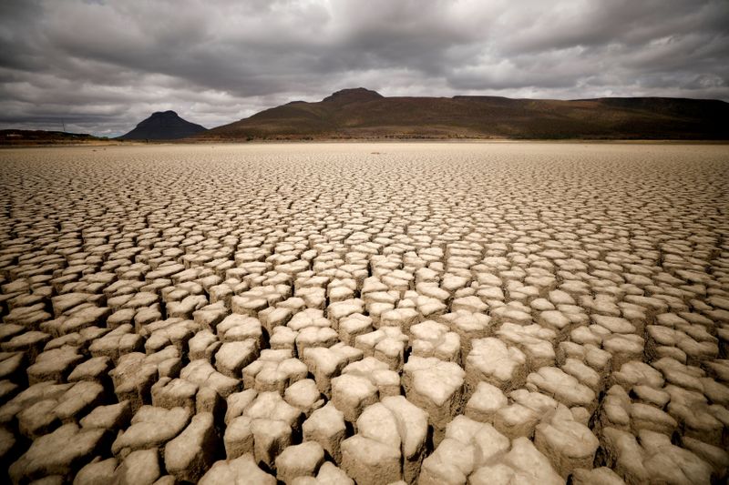 More vaccines, climate help needed for poorer nations, say UN, Non-Aligned Movement