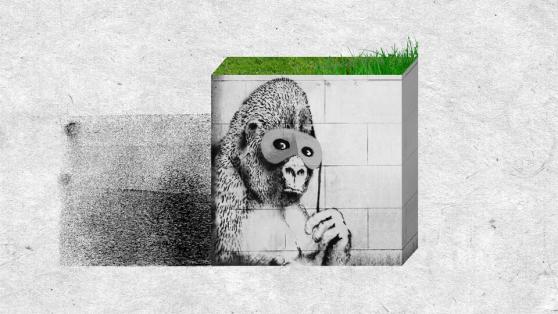 Raiinmaker and Cosmic Wire Launch Bansky NFTs to Support Climate Charities