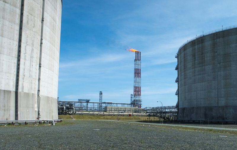 Russia close to using natural gas as weapon in Europe's gas crunch - Biden energy adviser