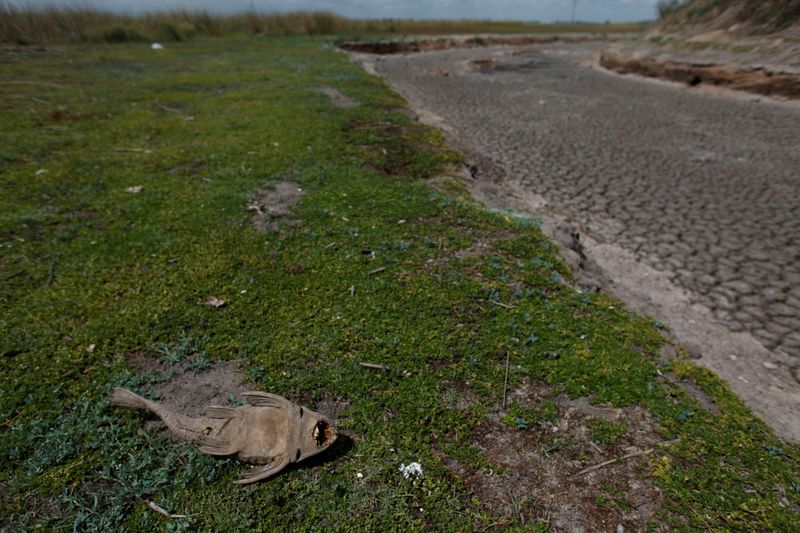 Tikehau Capital aims for around 5 billion euros of assets dedicated to tackling climate change