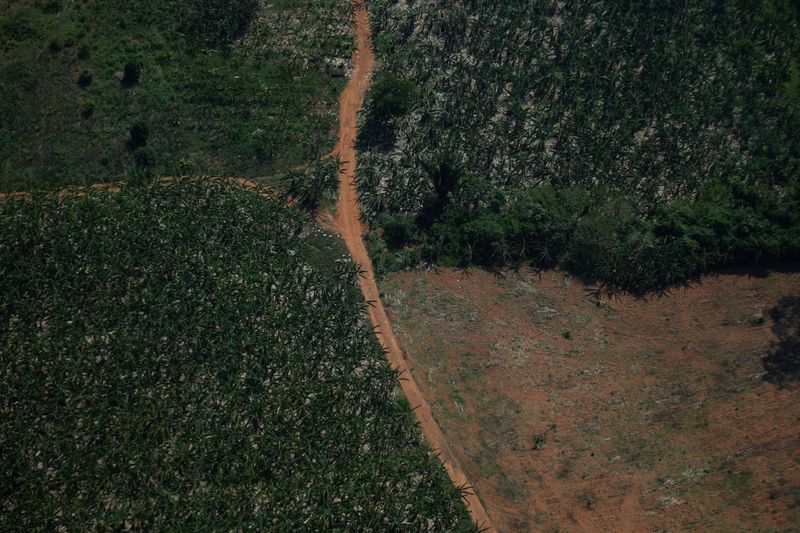 U.N. urges nations to spend more on species protection as new pact talks begin