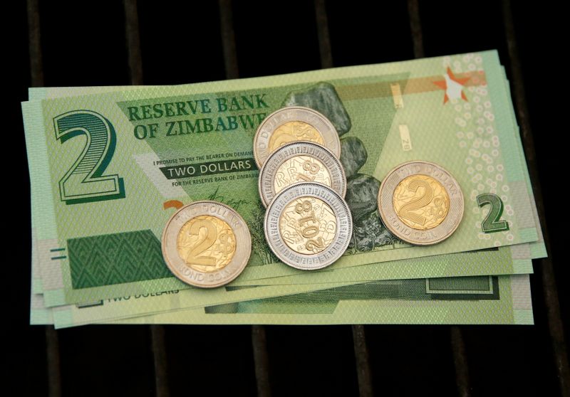 Zimbabwe's biggest business group warns local currency could collapse