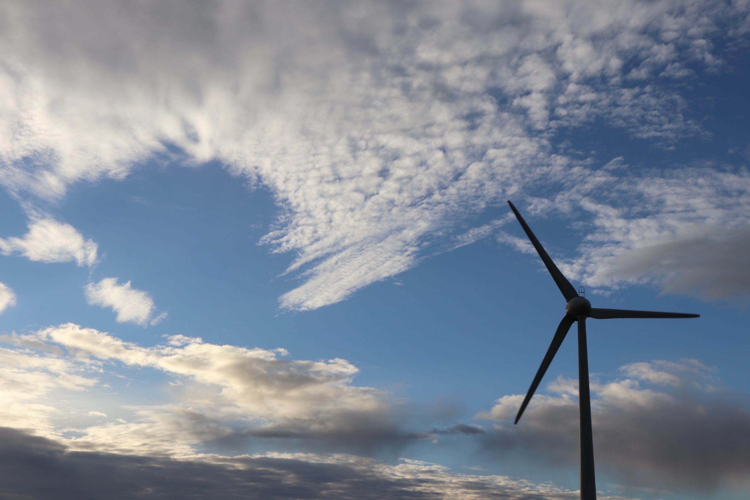 Shell to buy power from world’s ‘largest offshore wind farm’