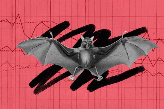 Basic Attention Token (BAT): Price Updates, Recent Developments, Future Events, Community