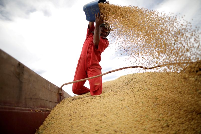 Analysis-Big U.S., Brazil harvests and slowing China demand ease some crop shortage fears