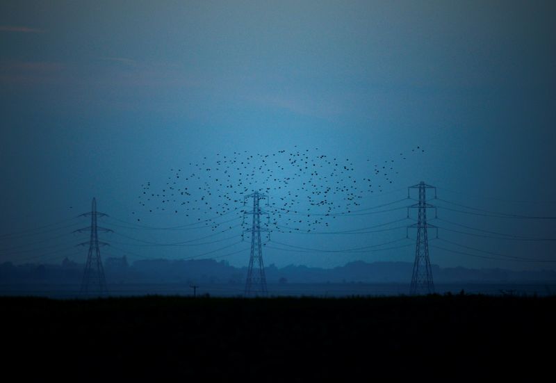 Britain's National Grid boosts annual earnings outlook