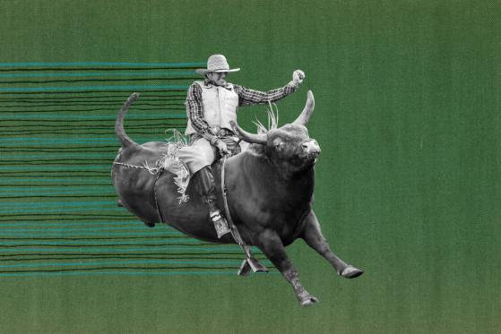Bullish Sentiments Indicating Litecoin (LTC) Could Continue a Bold Run