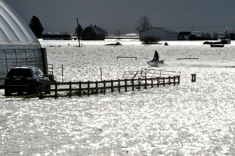 Canadian shippers find few easy alternatives for grain, oil cut off by flood