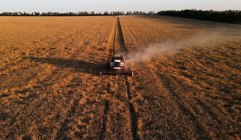Column-Record wheat, corn crops combat world supply squeeze differently -Braun