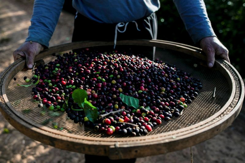 Exclusive-Major commodities traders sue Brazil coffee farmers for defaults