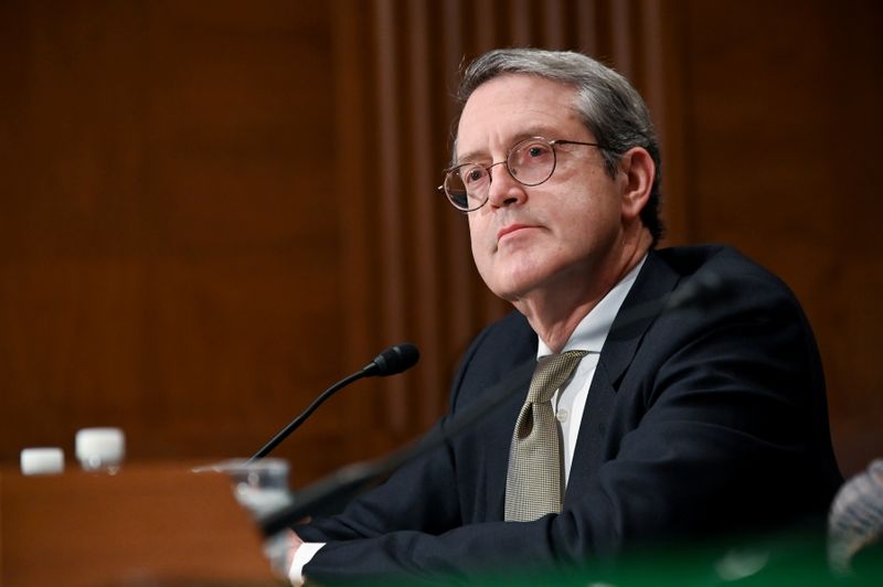 Explainer-Whether centrist or progressive, Fed's new regulatory chief has long to-do list