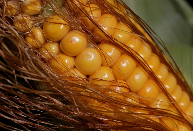 Fertilizer shortage may lead to spring scramble on North America's farms