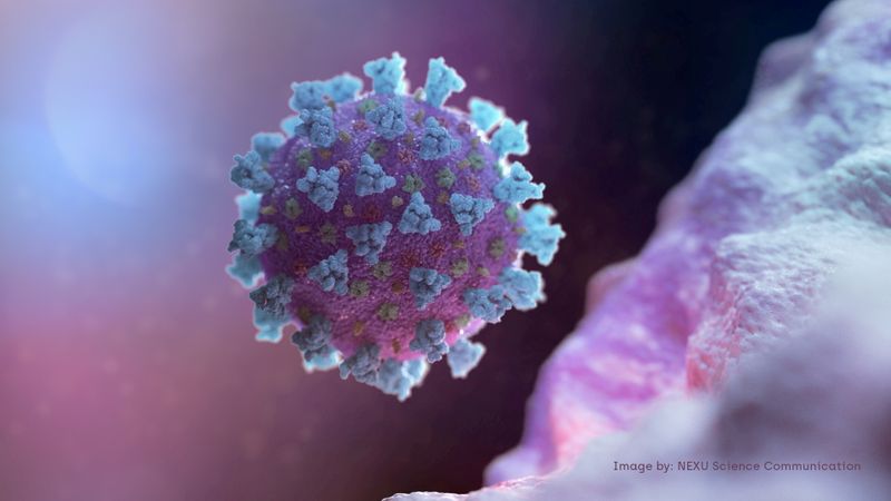 France experiencing start of fifth wave of COVID epidemic - minister