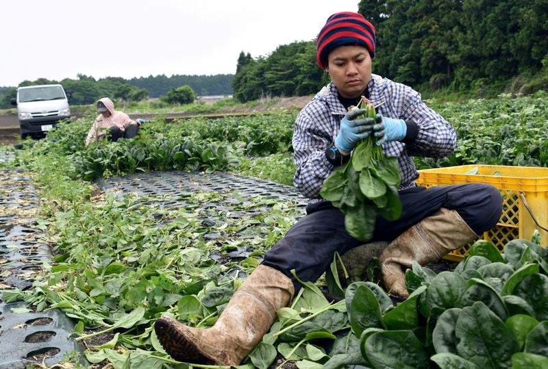 In major shift, Japan looking to accept more foreigners indefinitely