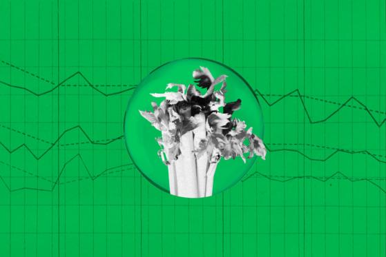 Celer Network (CELR): Price Updates, Technical analysis, Recent Developments, Future Events, Community