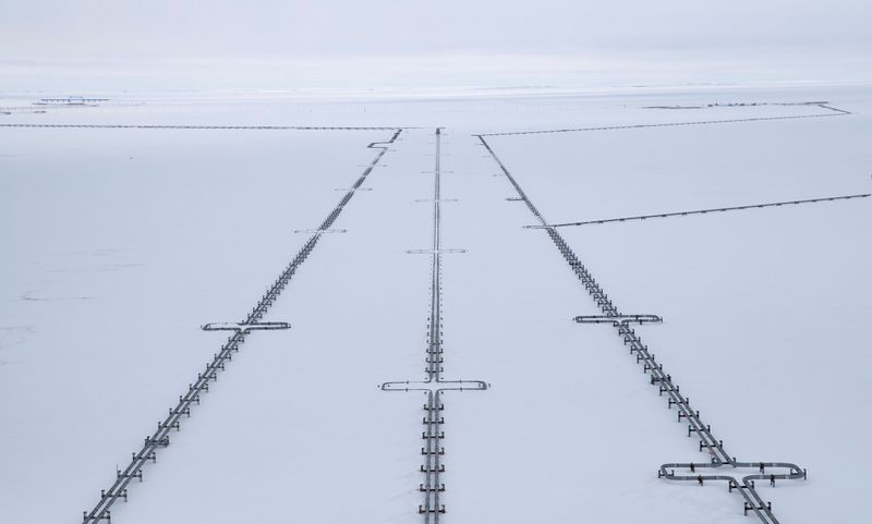 Russian gas flows via Yamal-Europe pipeline to Germany halted again