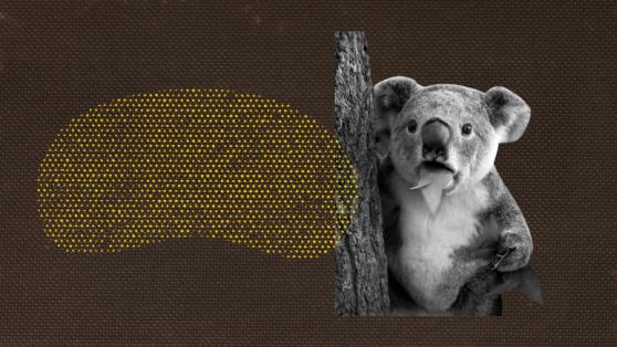 The Australian Central Bank Believes Dogecoin’s Adoption is Over Exaggerated