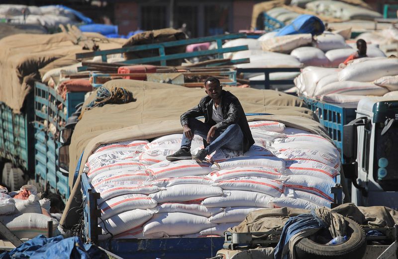 A year of war in Ethiopia batters investors and citizens