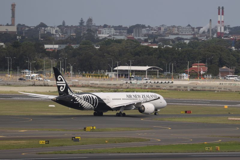 Air New Zealand could grow domestic business by 20%-30% -CEO