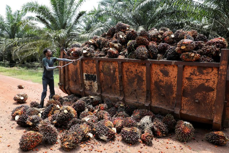 Analysis-Malaysia's labour abuse allegations a risk to export growth model