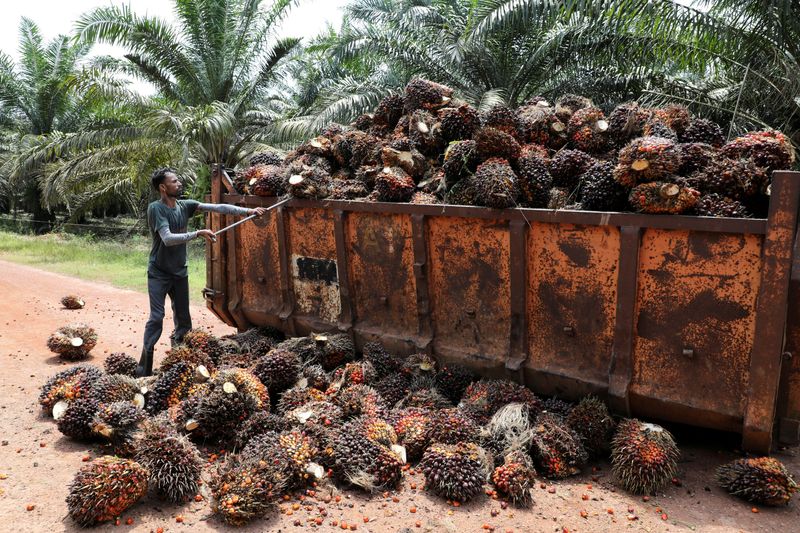 Analysis-Malaysia's palm oil producers adjust to labour shortages, higher recruitment costs
