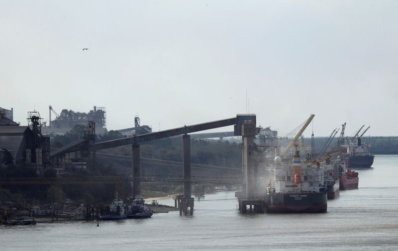 Argentina's economy rebounds strongly in third quarter