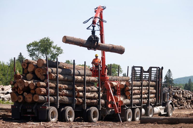 Canada to challenge U.S. softwood lumber duties under USMCA - minister