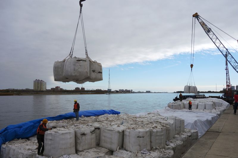 China's Nov. soybean imports up on month, boosted by U.S. cargoes