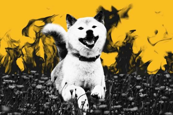 Crypto Flipsider News – SHIB Most Popular Crypto, Polygon Nears Top 10, UST Reaches $10 Billion, Binance Gains Bahrain Approval, Ethereum Gas Fees Drop by 67%