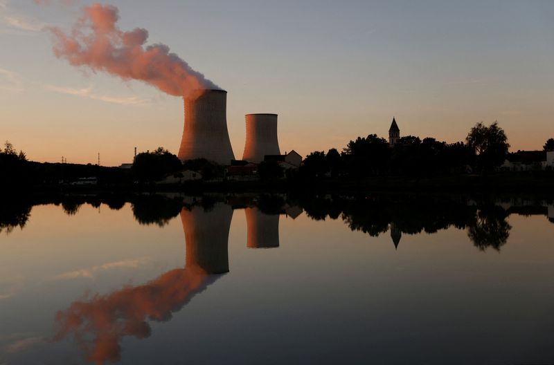 EDF shares plunge after faults found at French nuclear power station