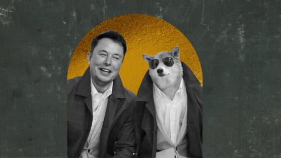 Elon Musk Tells TIME Magazine Why Dogecoin is Better than Bitcoin for Payments