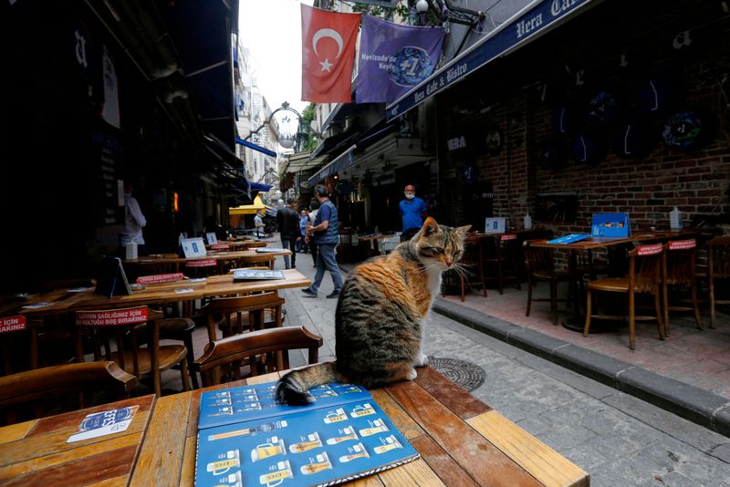 Feeding the fire? Turkish restaurants to raise prices to cover wage jump