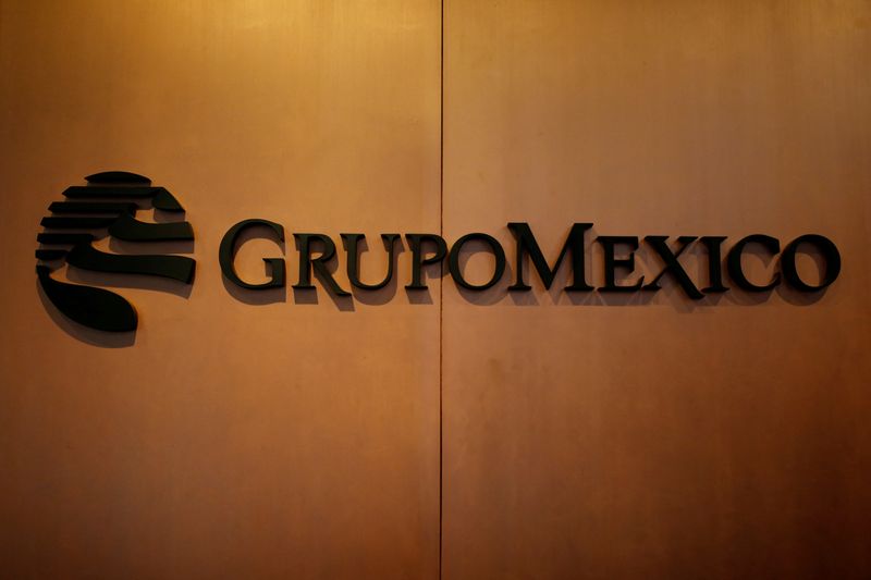 Grupo Mexico sells almost all shares airport operator GAP