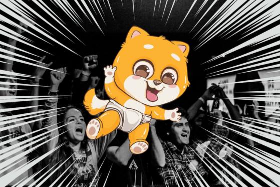 Little Baby Doge (LBD) Looks to Change the Narrative of Meme Coins and Fight Climate Change
