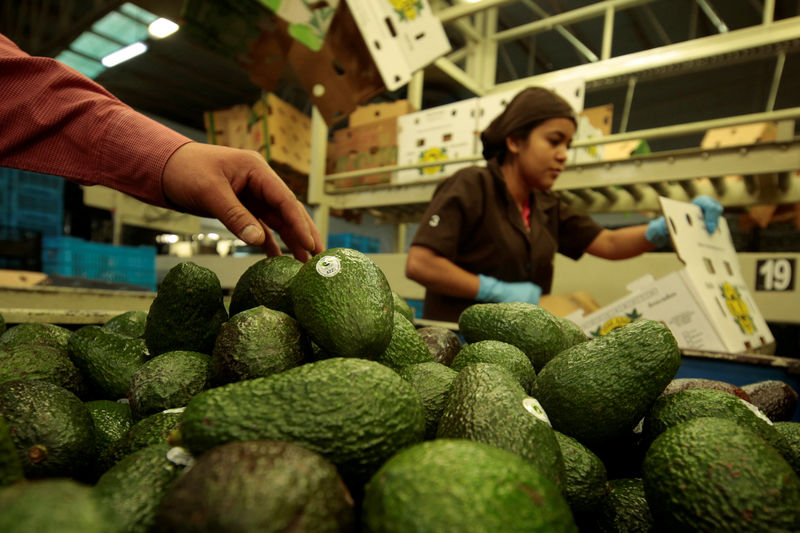 Mission Produce Tumbles as Supply Issues, Smaller Fruit Hit Margins