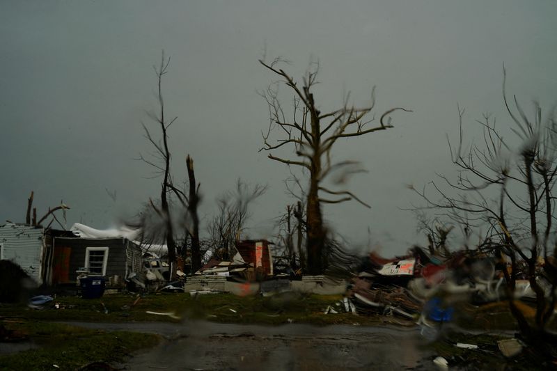 Pets displaced by Kentucky tornado find safe haven in local shelter