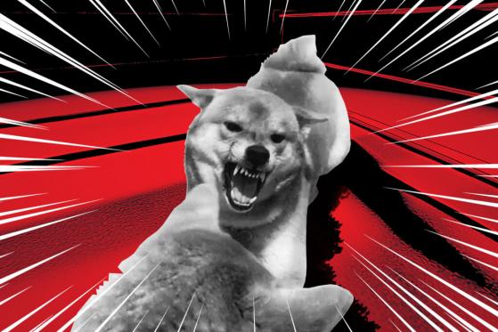 The Ultimate Fight Between Doge And Shib – Who Will Win?
